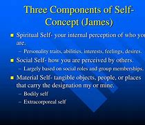 Image result for 3 Components of Self Concept