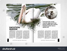 Image result for Newspaper A4 Size Pamphlet Landscape