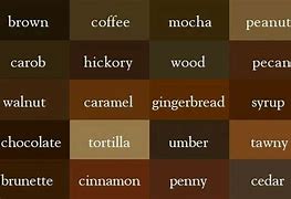 Image result for Gambar Warna Coklat