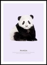 Image result for Panda Poster