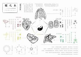 Image result for Traditional Chinese Medical Science