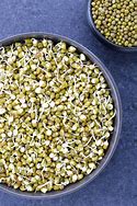 Image result for Sprouted Black Beans