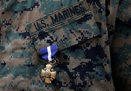 Image result for Navy Cross Medal