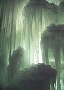 Image result for Alaska Icicle