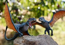 Image result for Amber Collection Dimorphodon