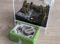 Image result for Real Ant Farm