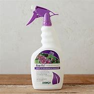 Image result for Organic Fungicide Spray