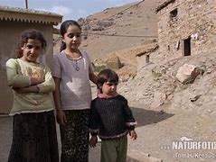 Image result for Kurd People