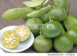 Image result for Citrus Depressa What Does It Smell Like