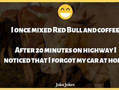 Image result for Bull Jokes