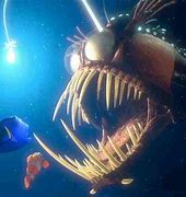 Image result for Angler Fish Nemo