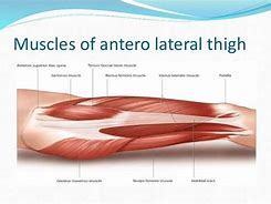 Image result for Anterolateral Thigh Flap