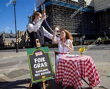 Image result for Peta Foie Gras