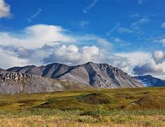 Image result for Tundra Biome Plant Alaska