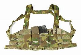 Image result for Blue Force Gear Chest Rig