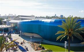 Image result for Aquarium of the Pacific Orca