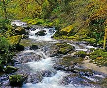 Image result for Flowing River Graphic