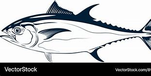 Image result for Tuna Vector