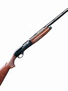 Image result for Automatic 12 Gauge