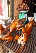 Image result for Dog Meat Recipes