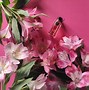 Image result for Gucci Flora Perfume Ads