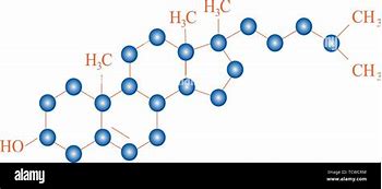 Image result for Molecular Strucutre Cholesterol