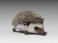 Image result for 3D Hedgehog Card