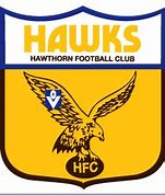 Image result for Hawthorn Hawks Logo