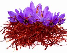 Image result for Ảnh Saffron