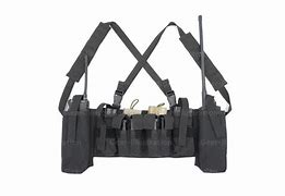 Image result for AWS M14 Chest Rig