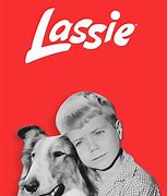 Image result for Lassie Show