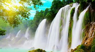 Image result for 5D Wallpaper Nature