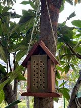 Image result for DIY Bee House