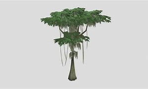 Image result for Jungle Trees