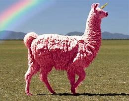 Image result for Real Llama