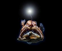 Image result for Scary Sea Creatures