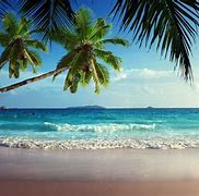 Image result for Landscaped Path Beach