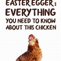 Image result for Easter Egger Chicken Eggs