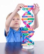 Image result for Double Helix Science