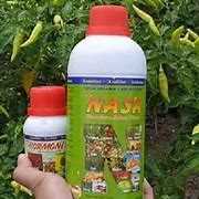 Image result for APA Itu NASA