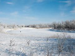 Image result for Manitoba Prairies