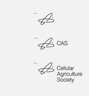 Image result for CAS State Logo