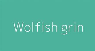 Image result for What Is a Wolfish Grin