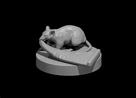 Image result for 3D Rat Printable