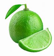 Image result for Lime Tree PNG