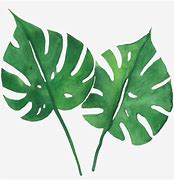 Image result for Free Printable Green Leaves