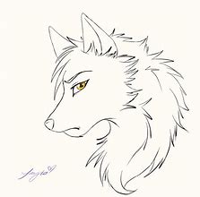 Image result for Fish Wolf Art