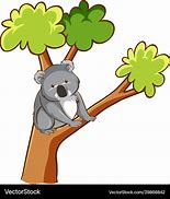 Image result for Koala Bear Images. Free