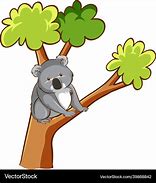 Image result for Beautiful Koala Bear