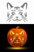 Image result for Mini Pumpkin Carving Cat